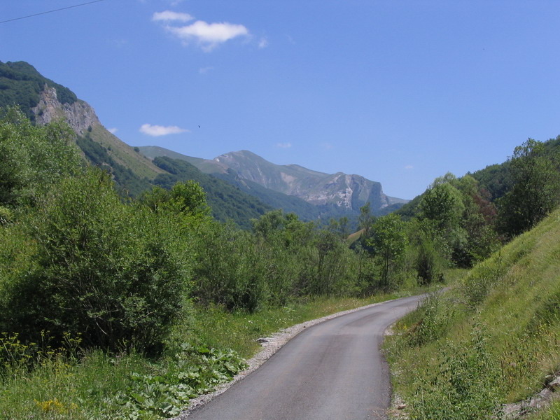 fotka