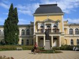 Nhled: Frantikovy Lzn