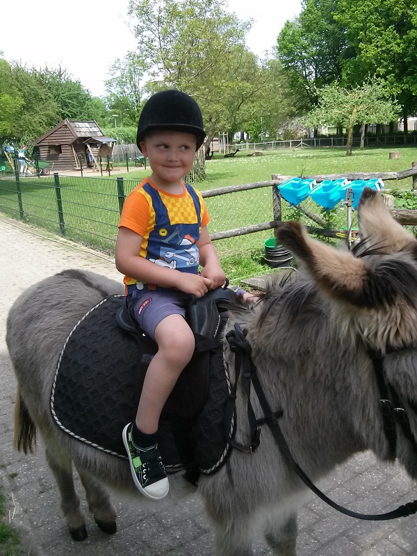 Ondra na oslkovi na farm v Maatrichtu