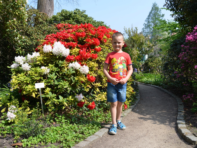 Botanick zahrada v Leuwen