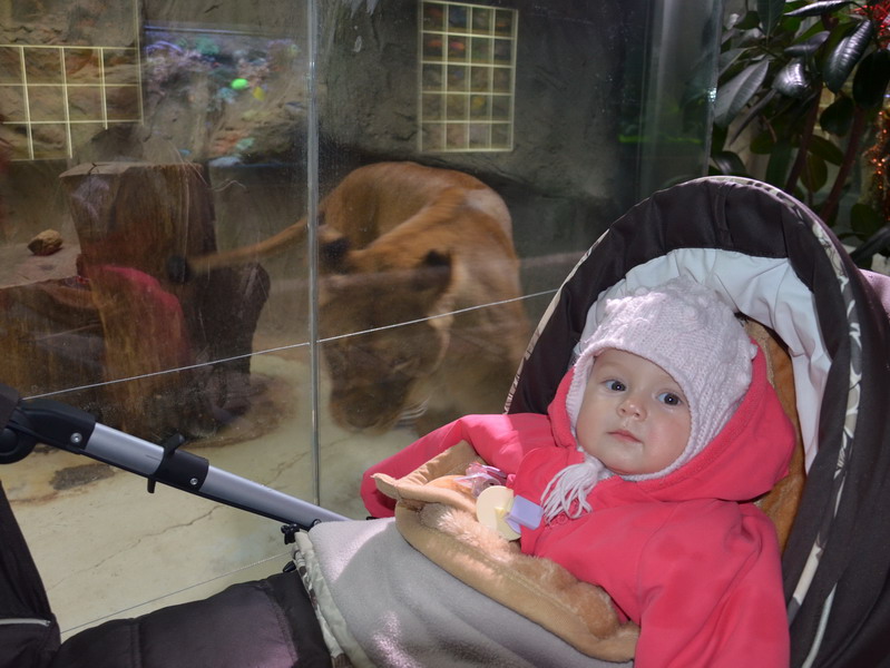 v ZOO