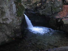 Svaina na Smrku