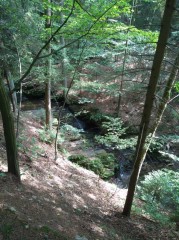 IMG_20170816_142408-nahled