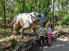 IMG_20200526_125834-nahled