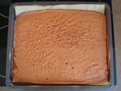 IMG_0138-nahled